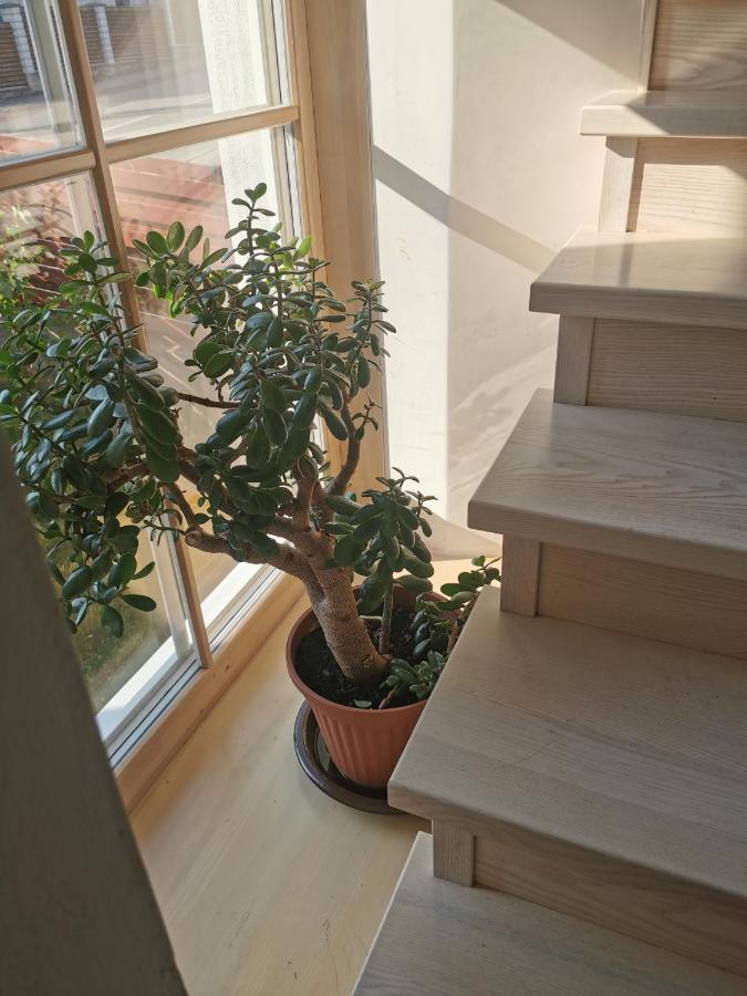 9 Min From Palanga! Luxury House On The River And Sauna Kretinga Ngoại thất bức ảnh